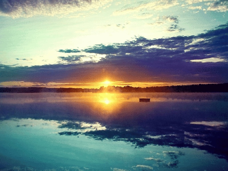 dbs面试管培,试管能吃烤鸭吗